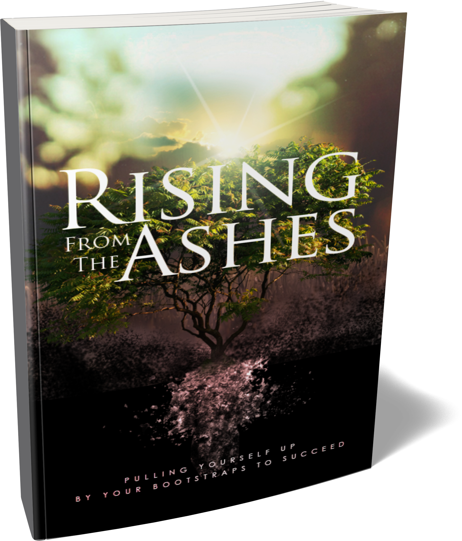 Rising From The Ashes Ebook