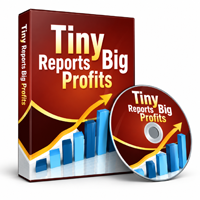 Tiny Reports Big Profits   Advanced Tiny Reports Big Profits   Advanced