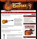 AcousticGuitarSite pflip Acoustic Guitar Niche Site