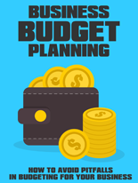 BizBudgetPlanning mrrg Business Budget Planning
