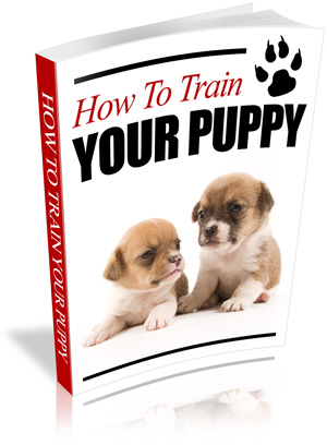 HowtoTrainYourPuppy How to Train Your Puppy