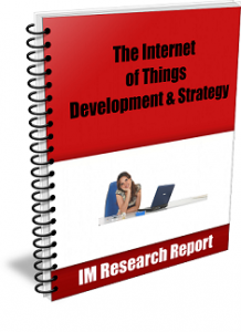 InternetThings m 218x300 The Internet of Things Development & Strategy