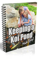KeepingKoiPond plr Keeping A Koi Pond