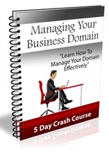ManagingBizDomain plr Managing Your Business Domain