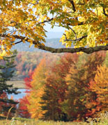 NewEnglandFoliage puo New England Foliage