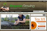 OrganicGrowingBlog p Organic Growing Blog 