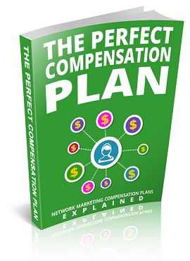 PerfectCmpnstnPlan mrrg The Perfect Compensation Plan