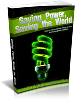 SavingPowerWorld mrrg Saving Power Saving the World