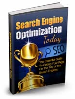 SearchEngineOptimToday mrr Search Engine Optimization Today