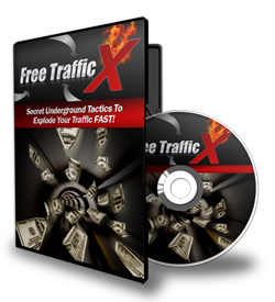 Stand DVD and Case 250 Free Traffic X