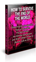 SurviveEndWorld mrr How To Survive The End Of The World