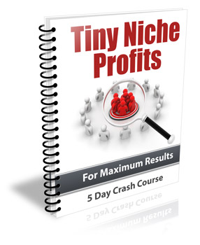 TinyNicheProfits plr Tiny Niche Profits
