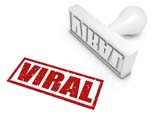 ViralMarketingValues plr Viral Marketing Values