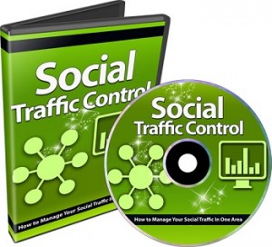 small 300x272 Social Traffic Control