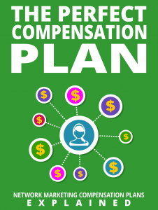 the perfect compensation plan 226x300 The Perfect Compensation Plan